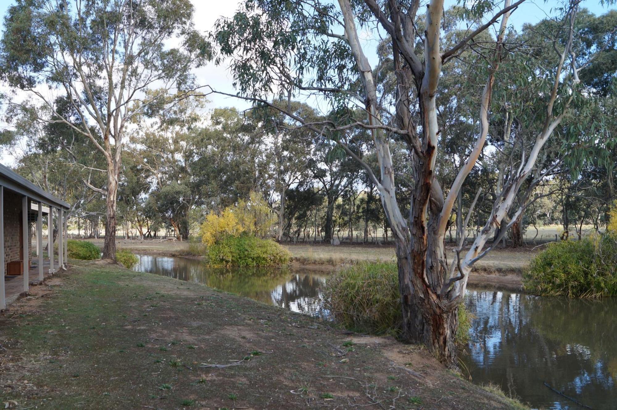 Magdala Motor Lodge & Lakeside Restaurant Stawell Chambre photo